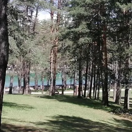 Dexy Luxury And Zlatibor